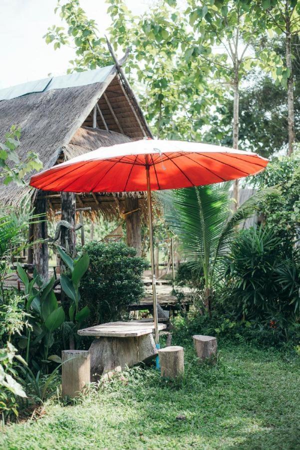Camp View Mountain - Sell Experience By Paddy Fields Haven - Natures Nest Pai Zewnętrze zdjęcie