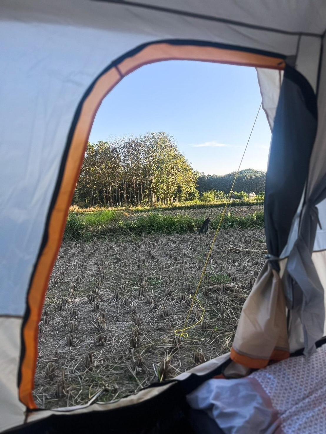 Camp View Mountain - Sell Experience By Paddy Fields Haven - Natures Nest Pai Zewnętrze zdjęcie